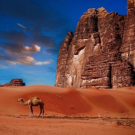 Отель Bedouin Cave Wadi Rum Campsite Экстерьер фото