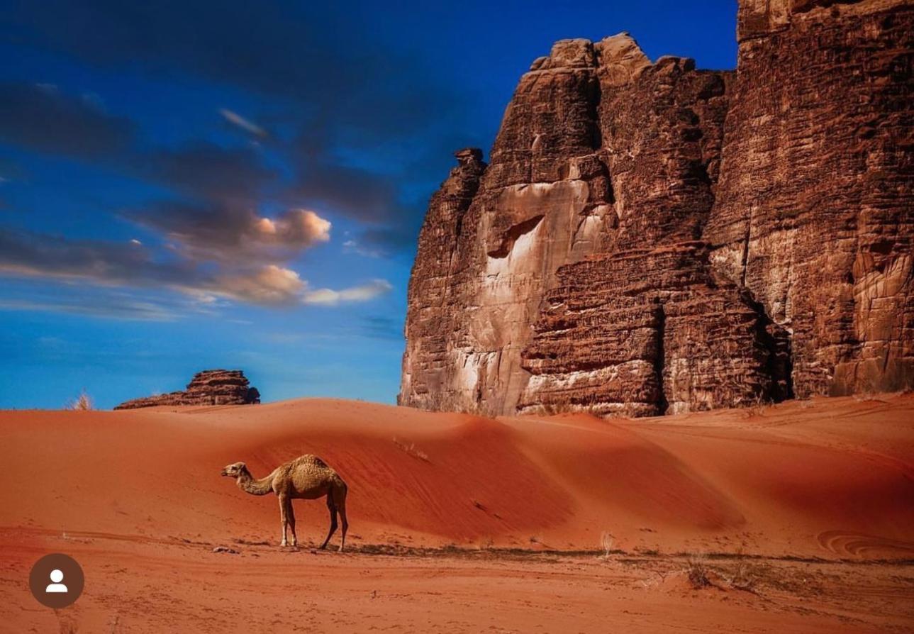 Отель Bedouin Cave Wadi Rum Campsite Экстерьер фото