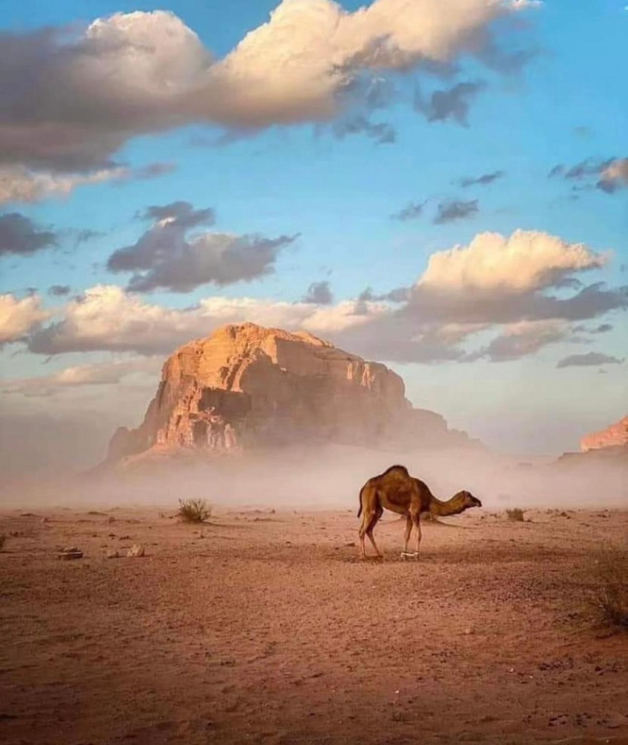 Отель Bedouin Cave Wadi Rum Campsite Экстерьер фото